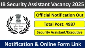 IB Security Assistant Online