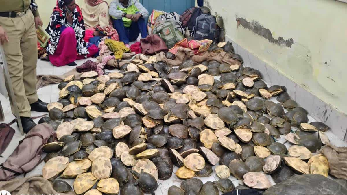 झारखंड शॉकिंग न्यूज़